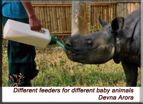 Devna Arora - Feeding a baby rhino